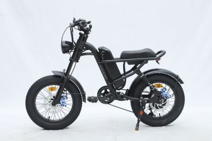 GT-0J2 New Design 16'' Mountain Electric Bicycle Out Door With Fat Tire Ebike For Kids 4.1''- 4.8''